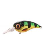 Fat_Iris_CR_Perch